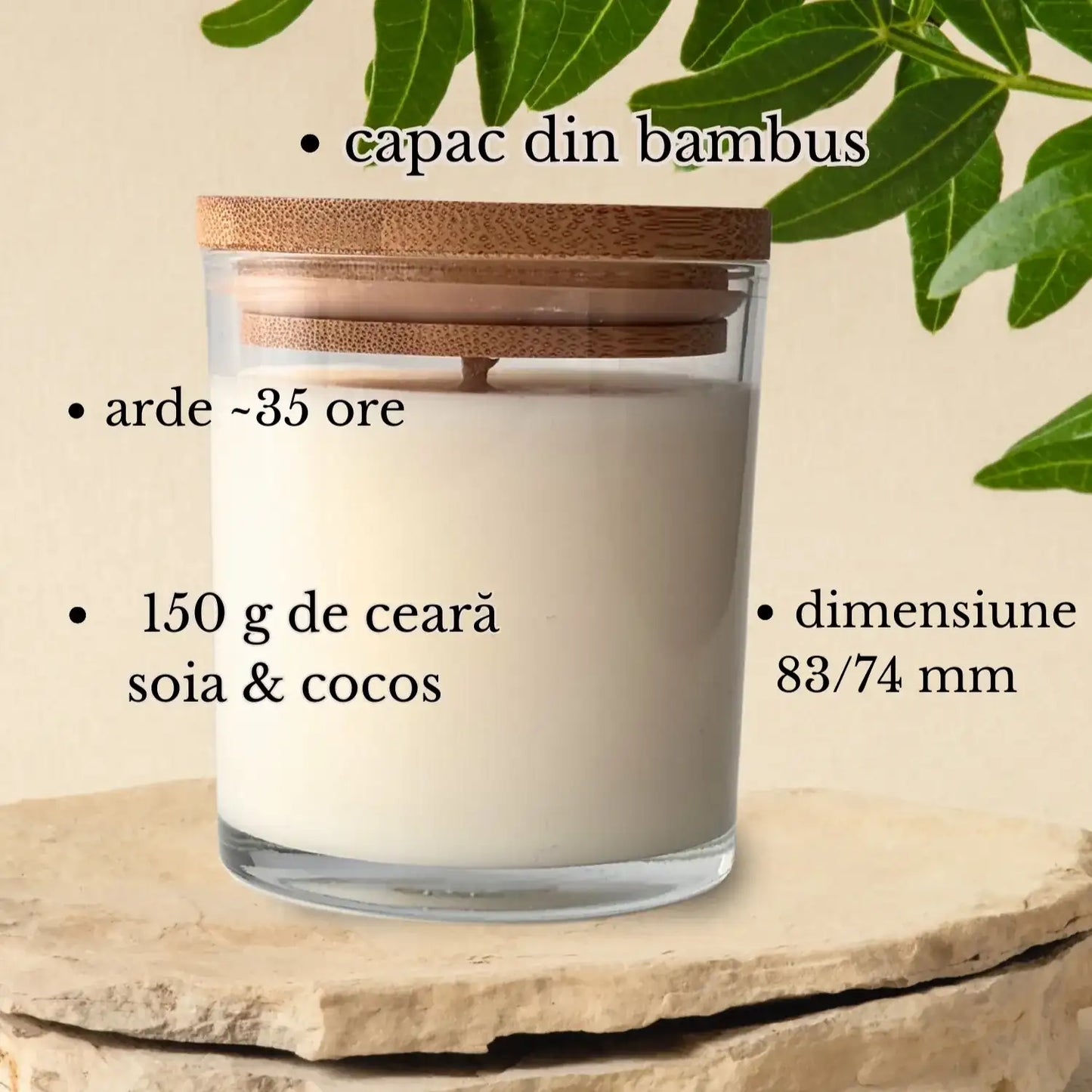 Plan apropiat cu o lumânare parfumată naturală într-un recipient minimalist de sticlă, cu capac din bambus, fitil din bumbac. Lumanarea este asezata pe doua pitre deschise si deasupra are o crenguta cu frunze verzi, subliind ca lumanarile Cleito sunt de calitate si au ceara naturala de soia si cocos.